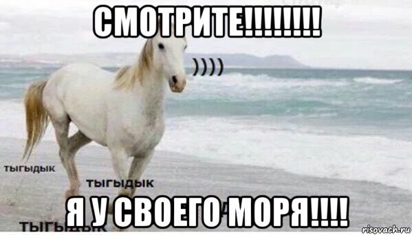 смотрите!!!!!!!! я у своего моря!!!!