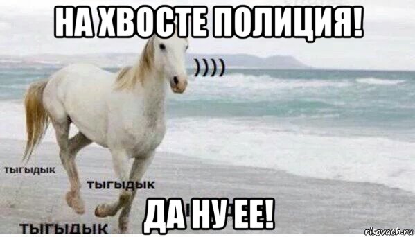 на хвосте полиция! да ну ее!, Мем   Тыгыдык