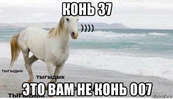 конь 37 это вам не конь 007, Мем   Тыгыдык