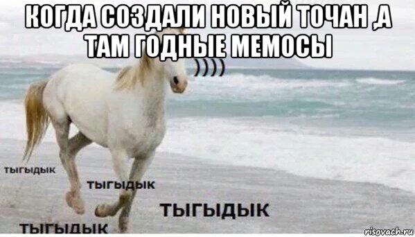 когда создали новый точан ,а там годные мемосы 