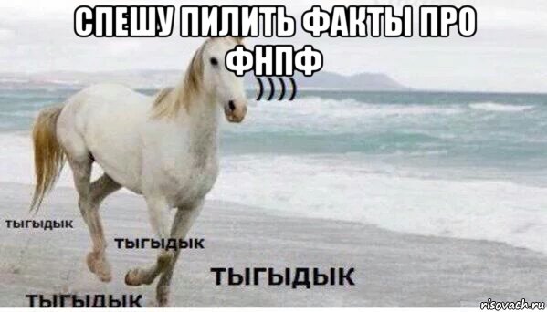 спешу пилить факты про фнпф , Мем   Тыгыдык