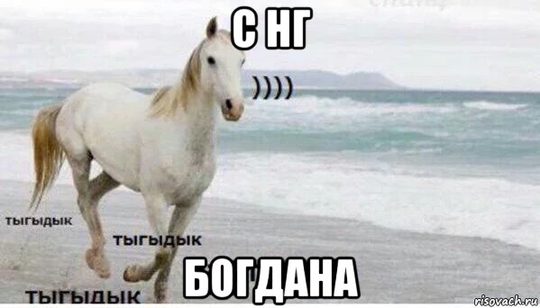 с нг богдана