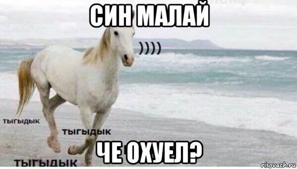 син малай че охуел?