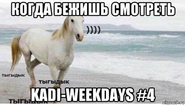 когда бежишь смотреть kadi-weekdays #4, Мем   Тыгыдык