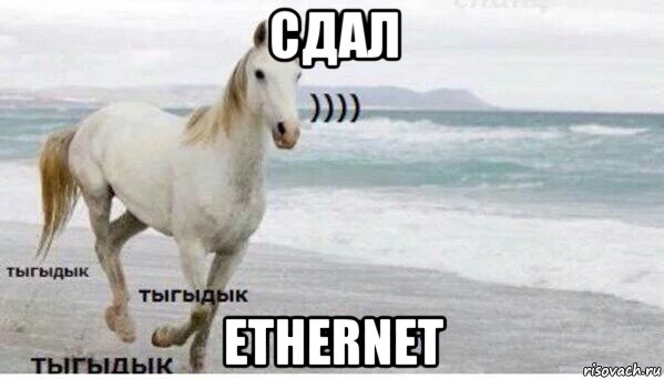 сдал ethernet, Мем   Тыгыдык