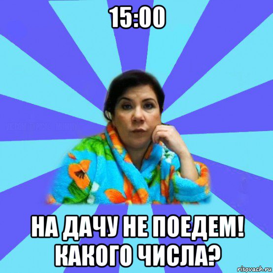 15:00 на дачу не поедем! какого числа?, Мем типичная мама