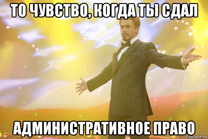 то чувство, когда ты сдал административное право, Мем Тони Старк (Роберт Дауни младший)