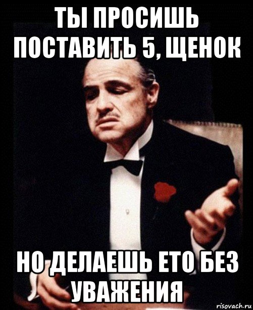 ты просишь поставить 5, щенок но делаешь ето без уважения, Мем ты делаешь это без уважения