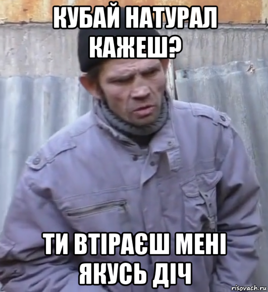 кубай натурал кажеш? ти втіраєш мені якусь діч, Мем  Ты втираешь мне какую то дичь