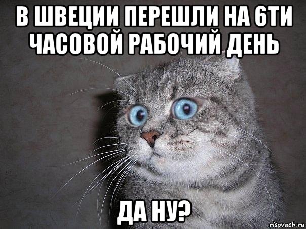 в швеции перешли на 6ти часовой рабочий день да ну?, Мем  удивлённый кот