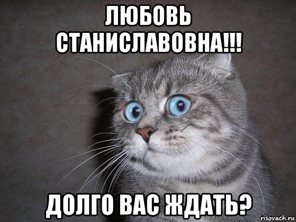 любовь станиславовна!!! долго вас ждать?, Мем  удивлённый кот