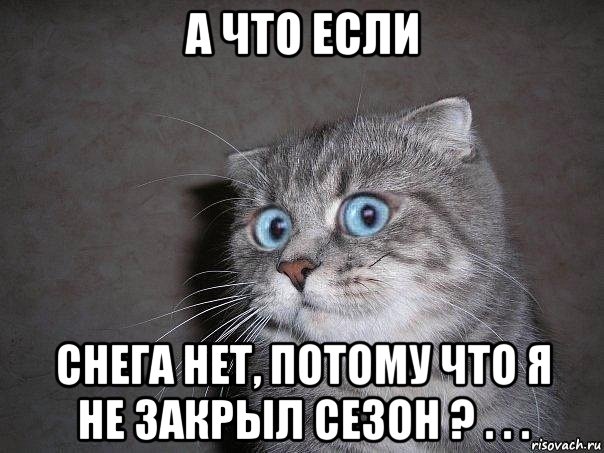 а что если снега нет, потому что я не закрыл сезон ? . . ., Мем  удивлённый кот