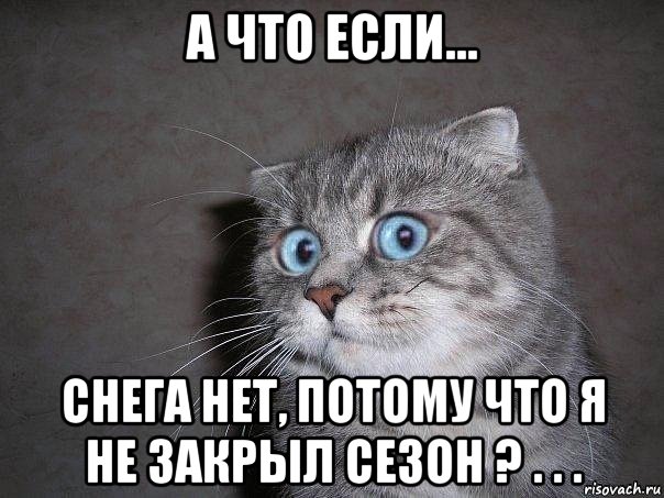 а что если... снега нет, потому что я не закрыл сезон ? . . ., Мем  удивлённый кот