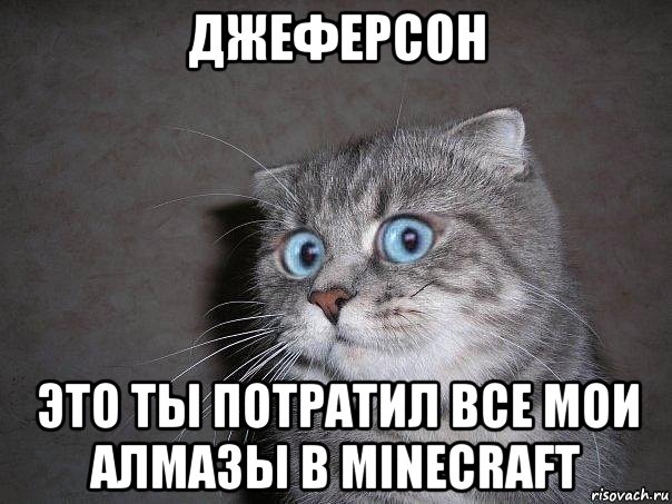 джеферсон это ты потратил все мои алмазы в minecraft, Мем  удивлённый кот