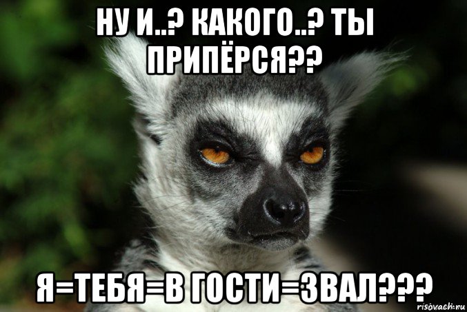 ну и..? какого..? ты припёрся?? я=тебя=в гости=звал???