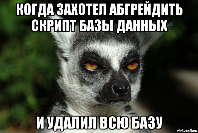 когда захотел абгрейдить скрипт базы данных и удалил всю базу, Мем   Я збагоен