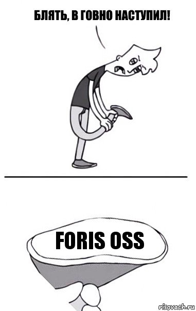 FORIS OSS, Комикс В говно наступил