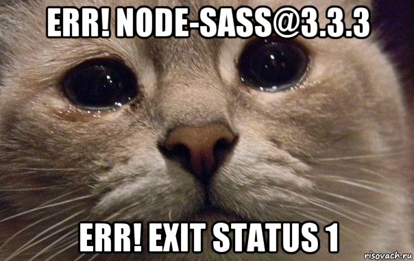 err! node-sass@3.3.3 err! exit status 1, Мем   В мире грустит один котик