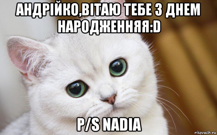 андрійко,вітаю тебе з днем народженняя:d p/s nadia, Мем  В мире грустит один котик