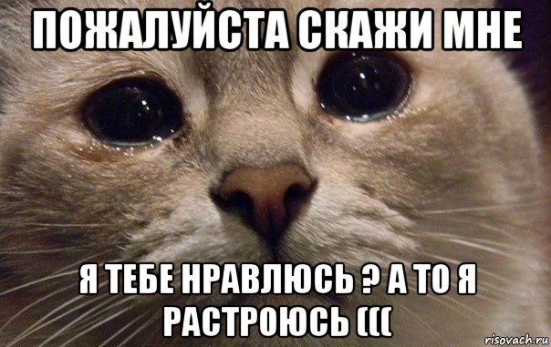 пожалуйста скажи мне я тебе нравлюсь ? а то я растроюсь (((, Мем   В мире грустит один котик