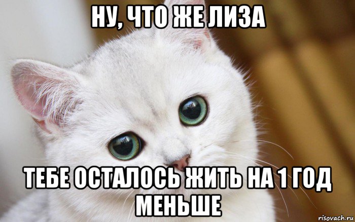 ну, что же лиза тебе осталось жить на 1 год меньше, Мем  В мире грустит один котик