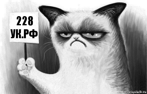 228 УК.РФ, Комикс Угрюмый кот с табличкой