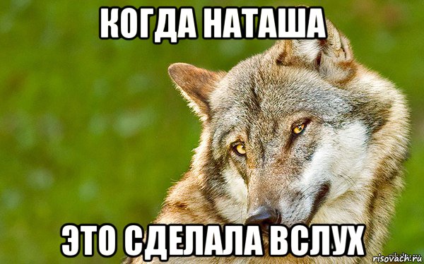 когда наташа это сделала вслух, Мем   Volf