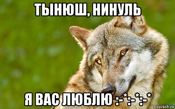 тынюш, нинуль я вас люблю :-*:-*:-*