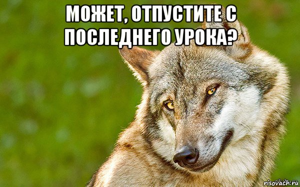 может, отпустите с последнего урока? 