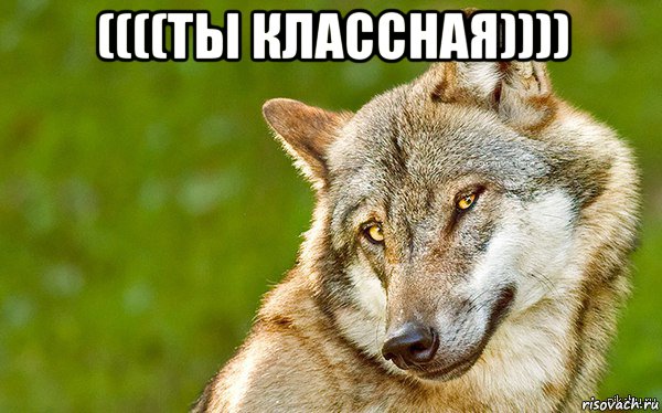 ((((ты классная)))) 