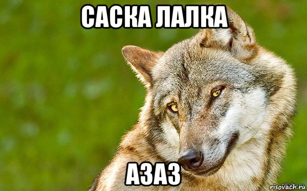 саска лалка азаз