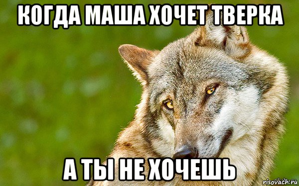 когда маша хочет тверка а ты не хочешь