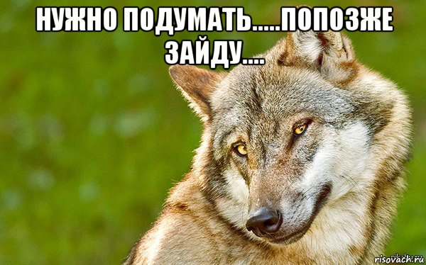 нужно подумать.....попозже зайду.... , Мем   Volf