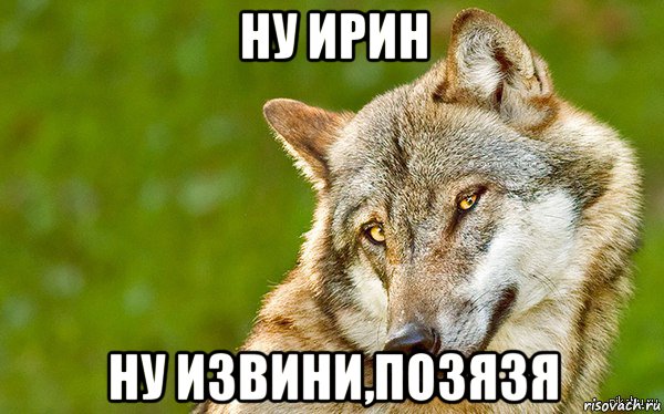 ну ирин ну извини,позязя, Мем   Volf