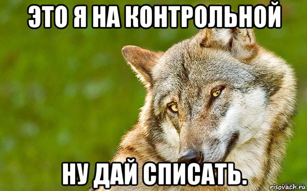 это я на контрольной ну дай списать., Мем   Volf