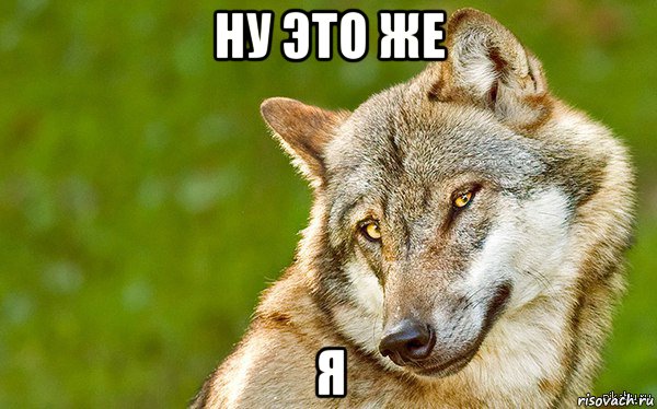 ну это же я, Мем   Volf