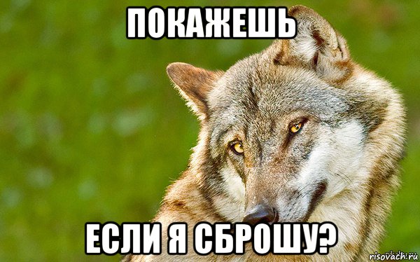 покажешь если я сброшу?, Мем   Volf