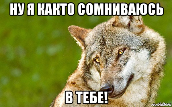 ну я както сомниваюсь в тебе!, Мем   Volf