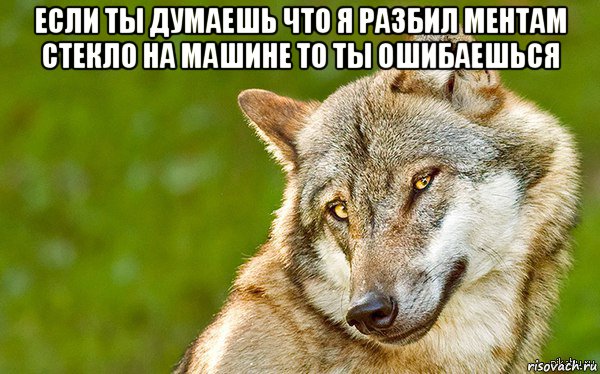 если ты думаешь что я разбил ментам стекло на машине то ты ошибаешься , Мем   Volf