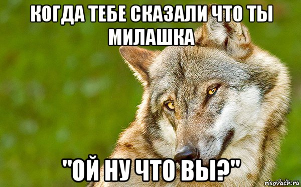 когда тебе сказали что ты милашка "ой ну что вы?", Мем   Volf