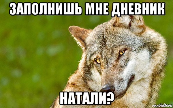 заполнишь мне дневник натали?