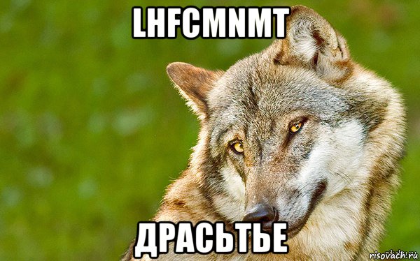 lhfcmnmt драсьтье