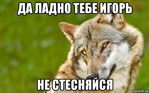 да ладно тебе игорь не стесняйся, Мем   Volf