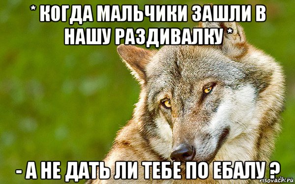 * когда мальчики зашли в нашу раздивалку * - а не дать ли тебе по ебалу ?