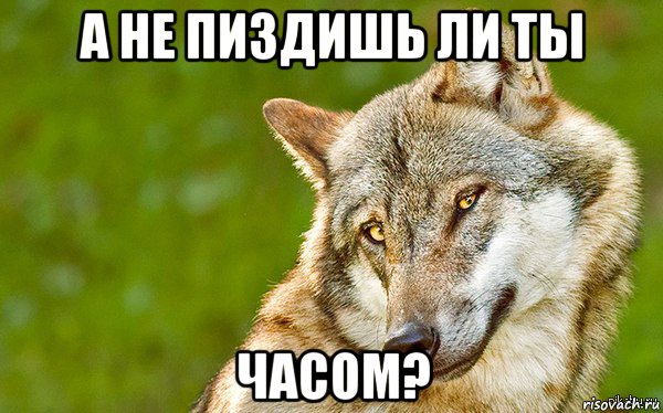 а не пиздишь ли ты часом?