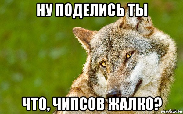 ну поделись ты что, чипсов жалко?