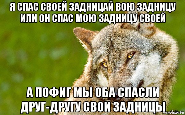 я спас своей задницай вою задницу или он спас мою задницу своей а пофиг мы оба спасли друг-другу свои задницы, Мем   Volf