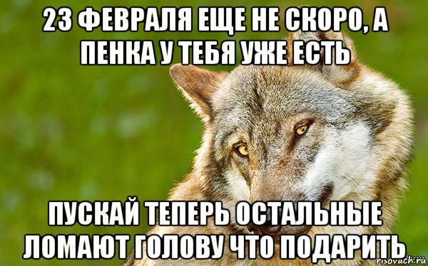 23 февраля еще не скоро, а пенка у тебя уже есть пускай теперь остальные ломают голову что подарить, Мем   Volf