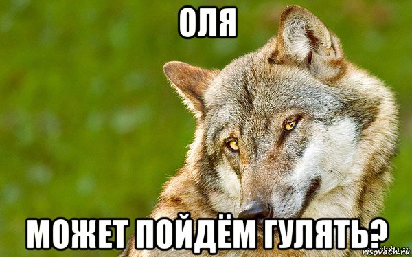 оля может пойдём гулять?, Мем   Volf