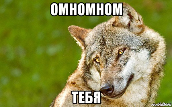 омномном тебя, Мем   Volf